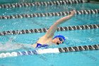 Swimming & Diving vs Babson  Swimming & Diving vs Babson College. - Photo by Keith Nordstrom : Wheaton, Swimming